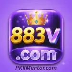 833V Game